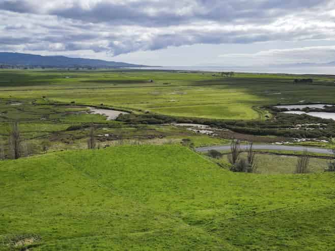 905 Miranda Road, Miranda