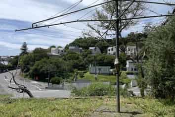 Wellington - Address withheld