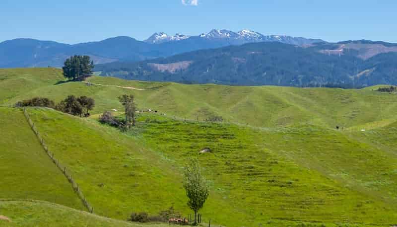 600 Neudorf Road, Upper Moutere