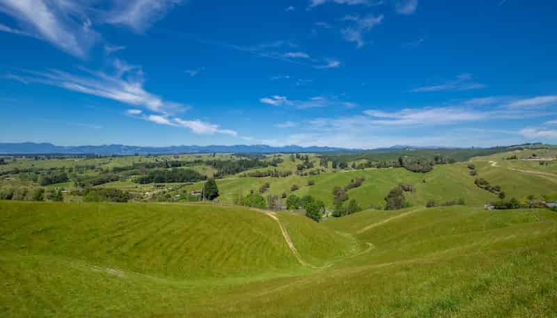 600 Neudorf Road, Upper Moutere