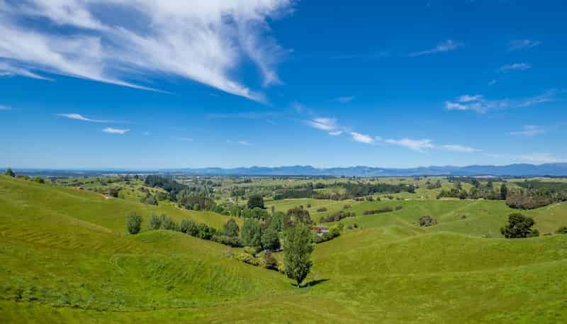 600 Neudorf Road, Upper Moutere