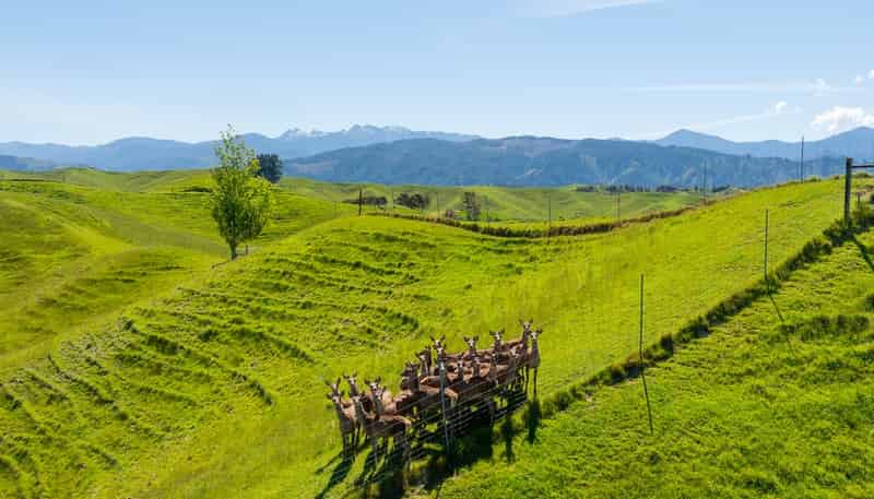 600 Neudorf Road, Upper Moutere