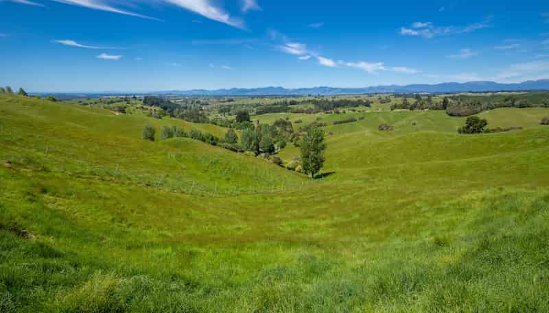 600 Neudorf Road, Upper Moutere