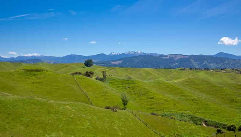 600 Neudorf Road, Upper Moutere
