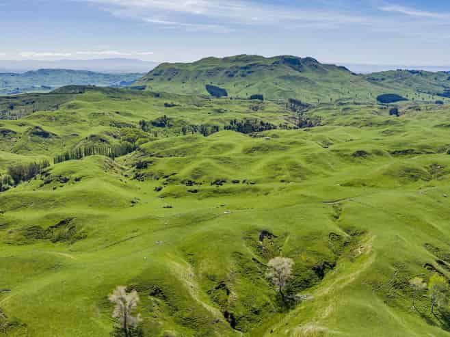 1262 - 1520 Maraetotara Road, Waimarama