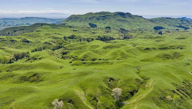 1262 - 1520 Maraetotara Road, Waimarama