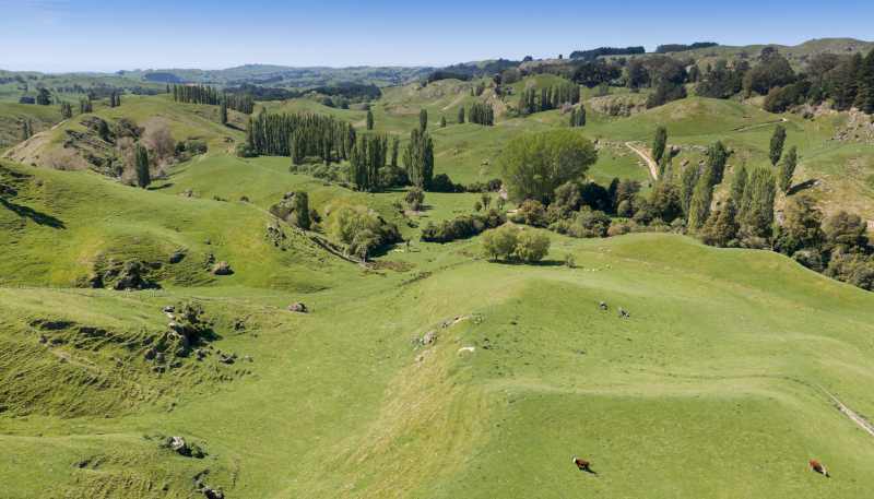 1262 - 1520 Maraetotara Road, Waimarama