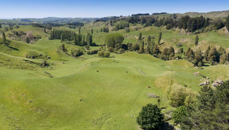 1262 - 1520 Maraetotara Road, Waimarama