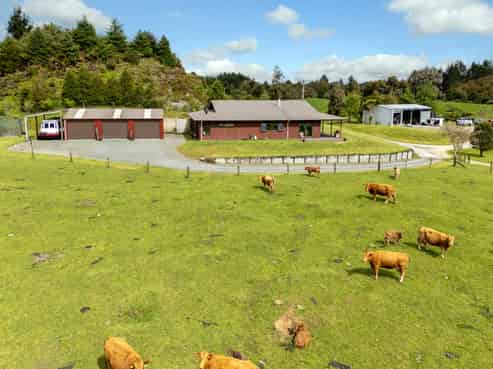 49C Olds Road, Ngongotaha Valley