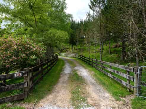 49C Olds Road, Ngongotaha Valley