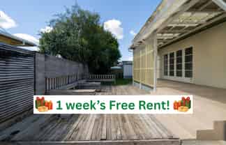 19 Galloway Street, Hamilton East