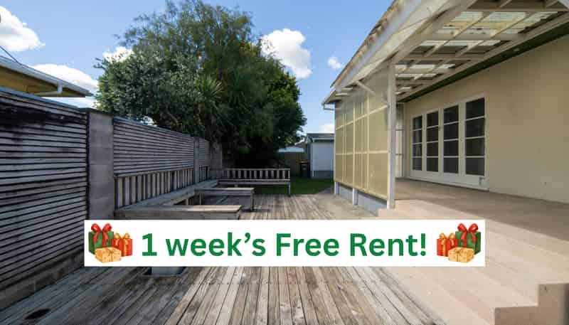 19 Galloway Street, Hamilton East