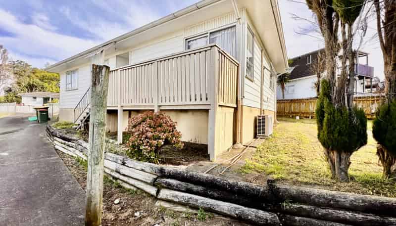 45 Finlayson Avenue, Clendon Park