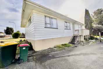 45 Finlayson Avenue, Clendon Park