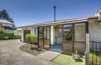 3/403 Avenue Road West, Hastings