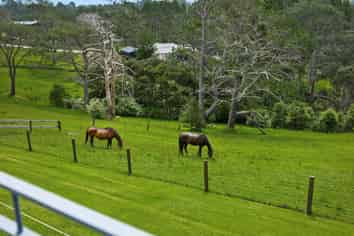 23 Crows Road, Swanson
