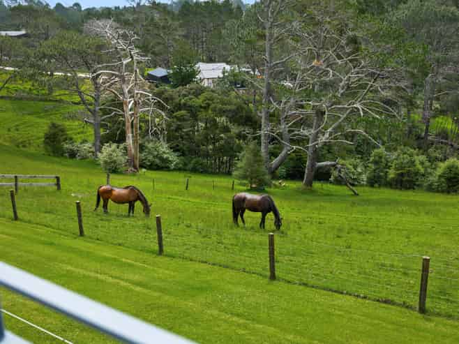 23 Crows Road, Swanson