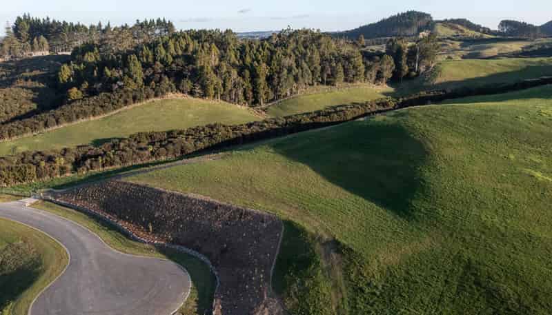 Lot 41 Palliser Downs, Wainui