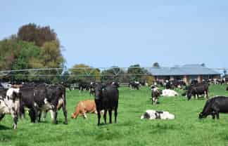 28 Toner Road , Temuka