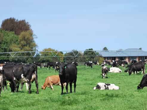 28 Toner Road, Temuka
