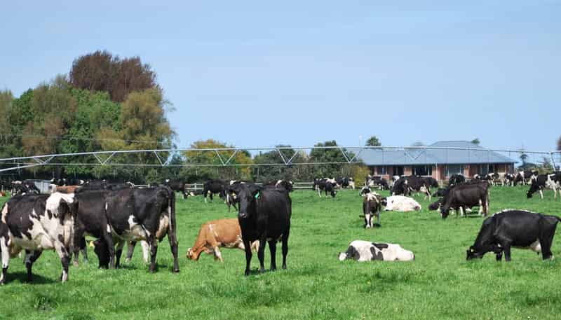 28 Toner Road , Temuka