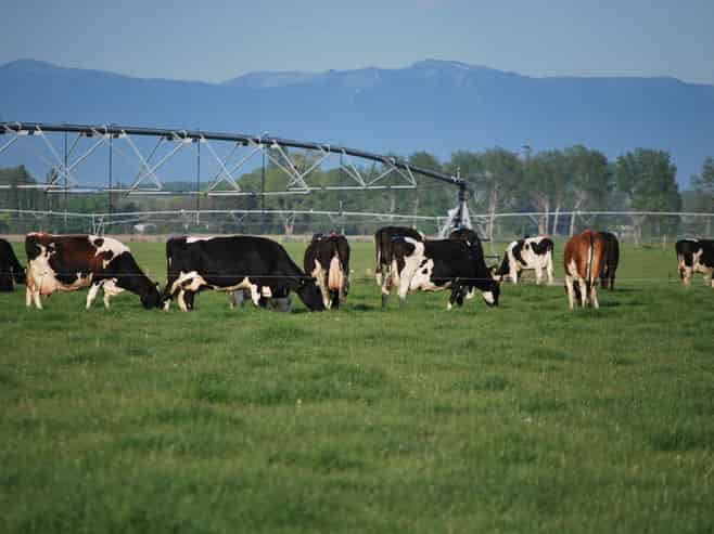 28 Toner Road , Temuka