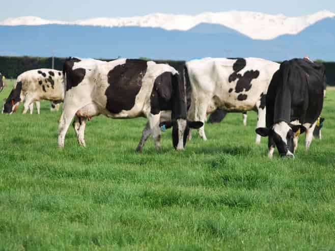 28 Toner Road , Temuka