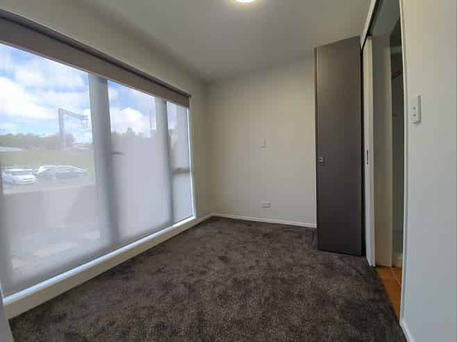 54 Ronayne Street, Parnell