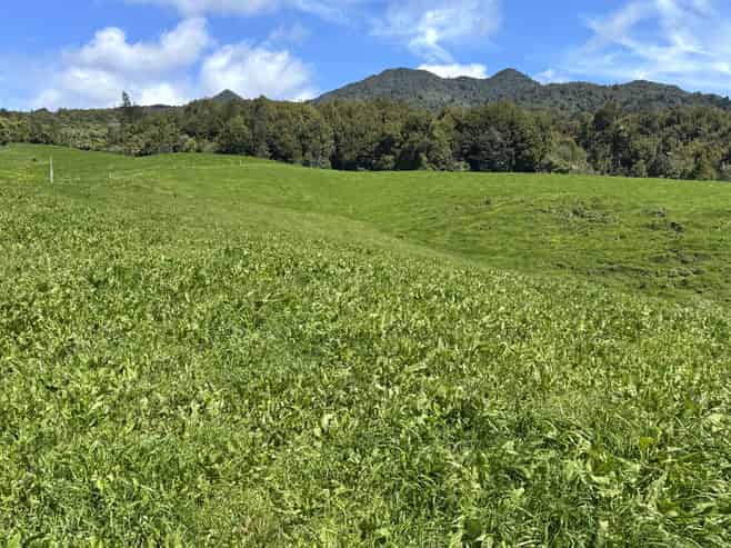 3/585 O'Shea Road, Pirongia