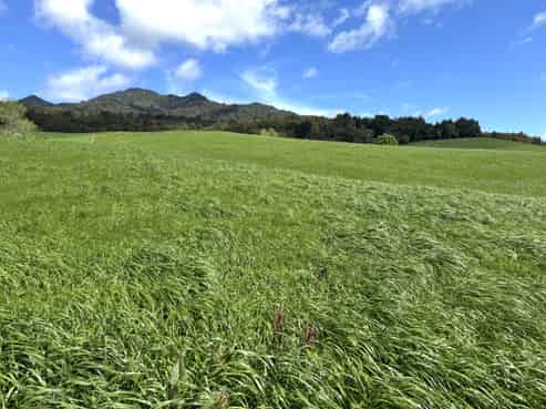 3/585 O'Shea Road, Pirongia