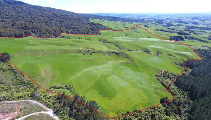 3/585 O'Shea Road, Pirongia