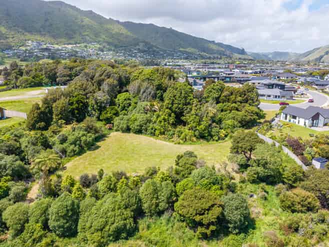 41 Morepork Drive, Waikanae