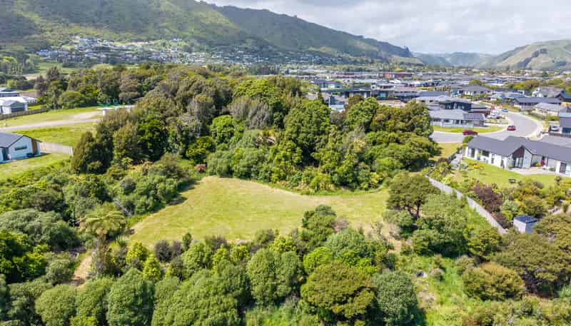 41 Morepork Drive, Waikanae