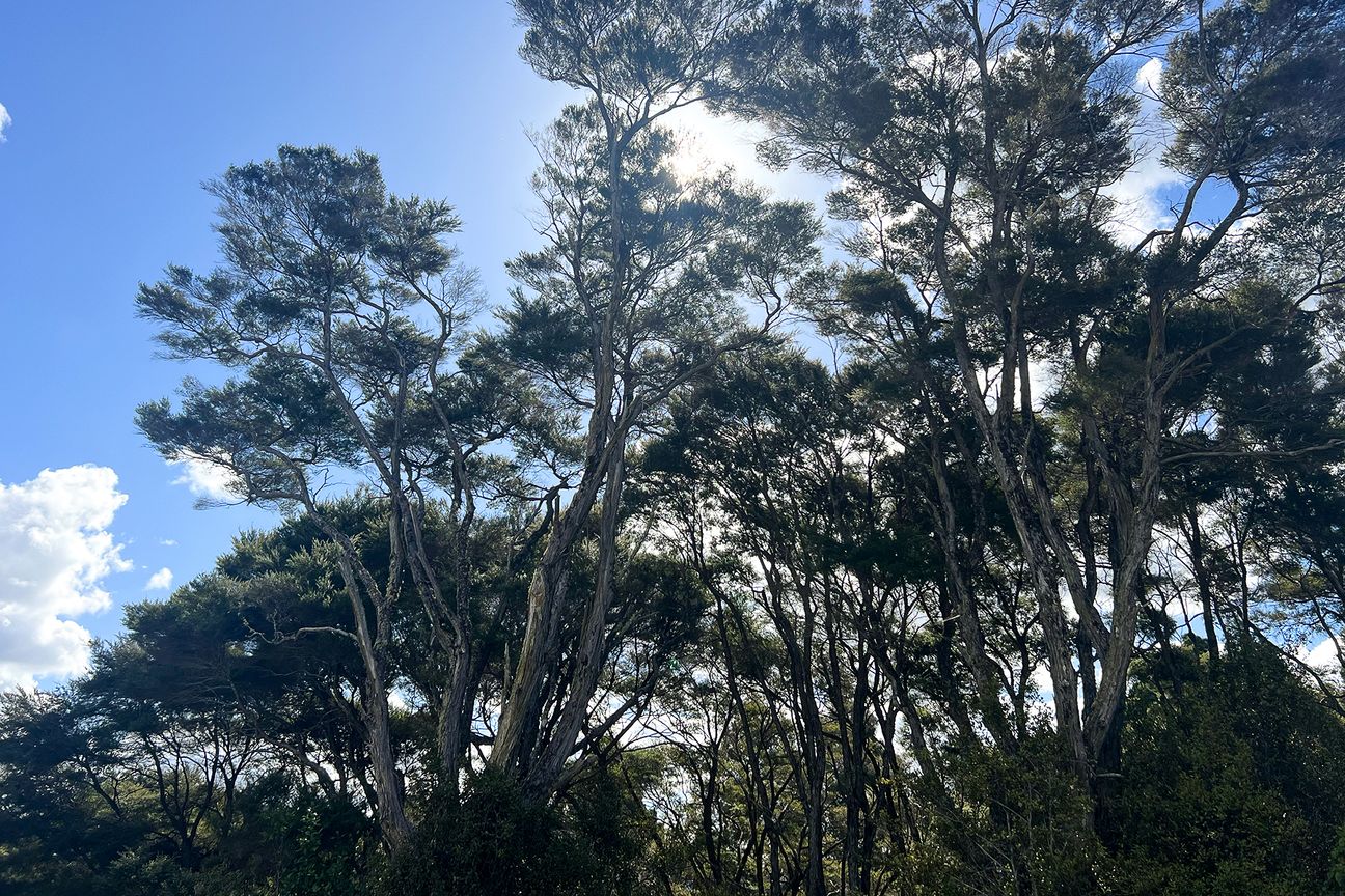 Stanmore Bay - Rent to Buy Opportunity! - Ansicht 2