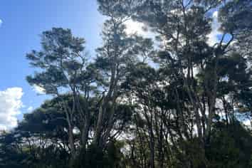 11 Ti Tree Lane, Stanmore Bay