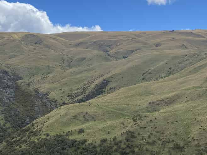  Mt Hope Road, Coal Creek Flat, Roxburgh