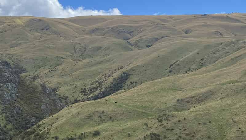 Mt Hope Road, Coal Creek Flat, Roxburgh