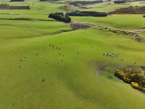 3075 Old Coach Road, Clinton