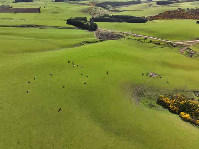 3075 Old Coach Road, Clinton