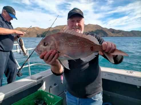 South Island Scenic, 4x4 & Cycle Tours | For Sale