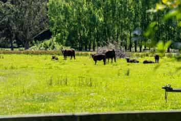 Lot 3/648 Homewood Road, Homewood