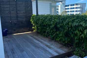 14 Brooklyn Road, Aro Valley