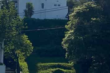 14 Brooklyn Road, Aro Valley