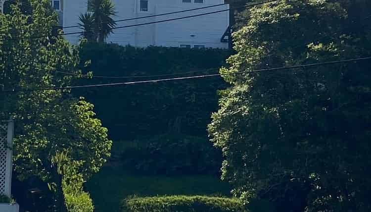 14 Brooklyn Road, Aro Valley