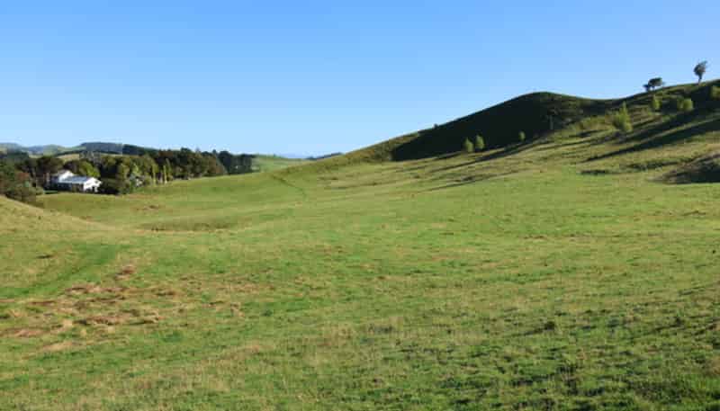 98 Millstream Road, Dannevirke