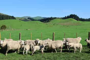 98 Millstream Road, Dannevirke