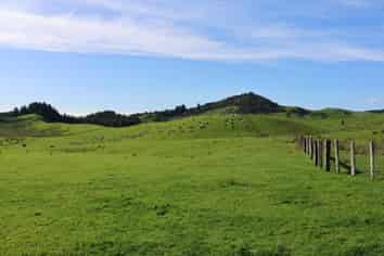 98 Millstream Road, Dannevirke