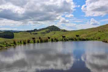 98 Millstream Road, Dannevirke