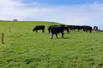 98 Millstream Road, Dannevirke