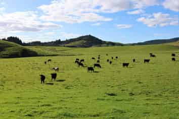 98 Millstream Road, Dannevirke